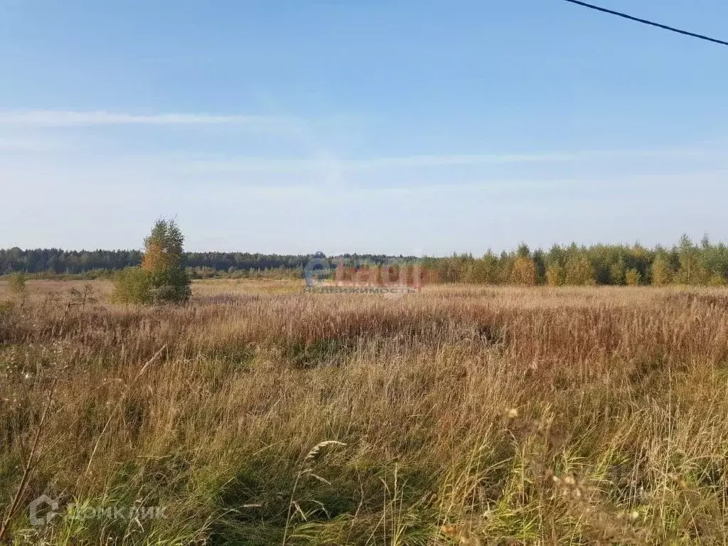 Участок в Ленинградская область, Всеволожский район, Колтушское ... - Фото 1