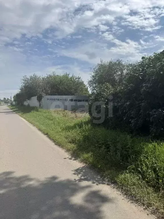 Участок в Саратовская область, Балашовский район, Хоперское ... - Фото 2