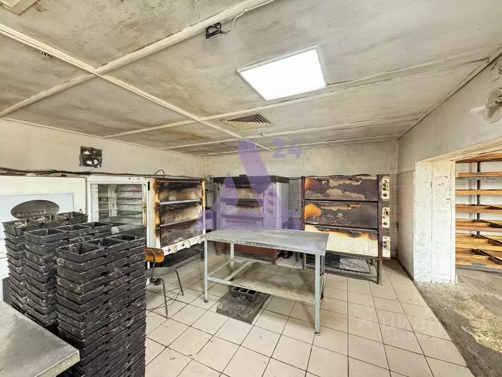 Помещение свободного назначения в Алтайский край, Павловский район, с. ... - Фото 1