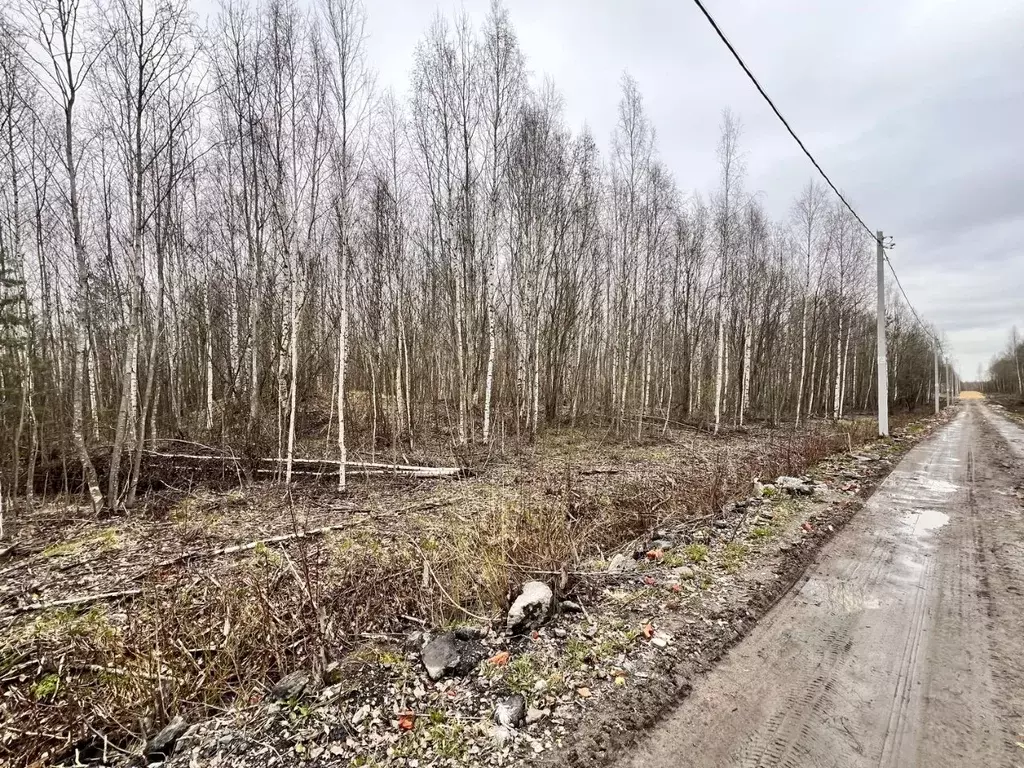 Участок в Ленинградская область, Ломоносовский район, Виллозское ... - Фото 1