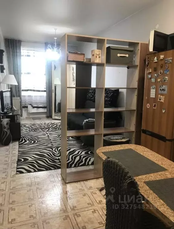 Студия Красноярский край, Красноярск ул. Вильского, 16 (27.0 м) - Фото 1