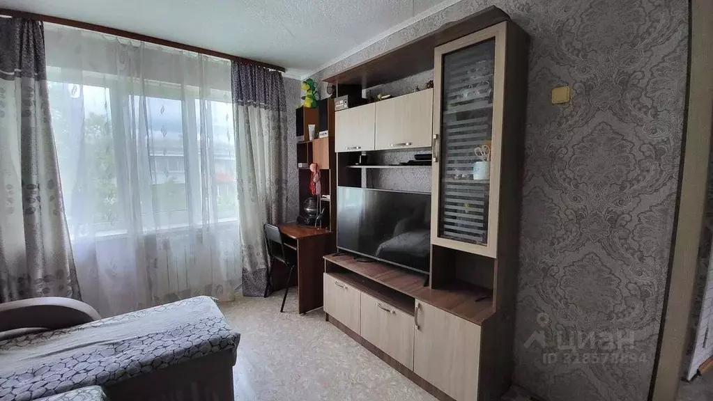 3-к кв. Еврейская автономная область, Биробиджан Набережная ул., 18Б ... - Фото 0