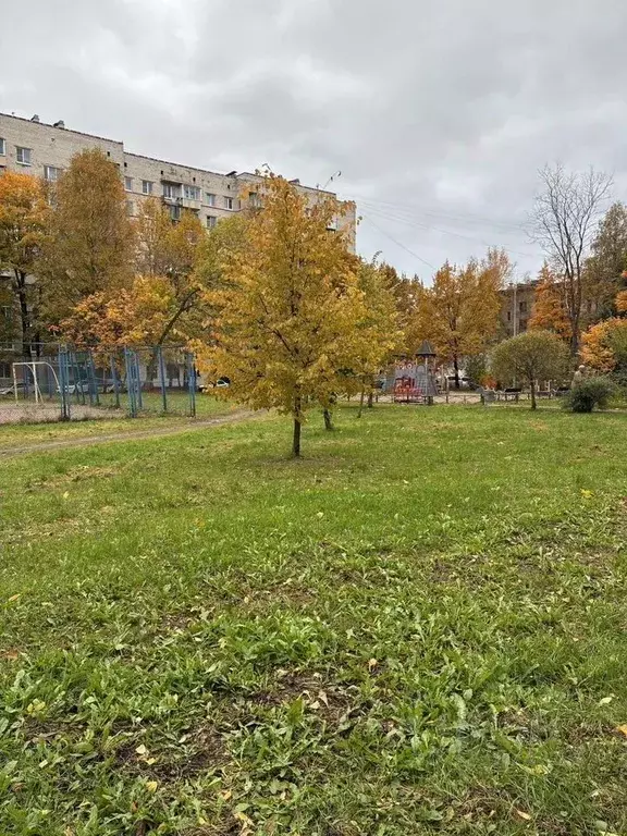 2-к кв. Санкт-Петербург ул. Солдата Корзуна, 44 (42.0 м) - Фото 2