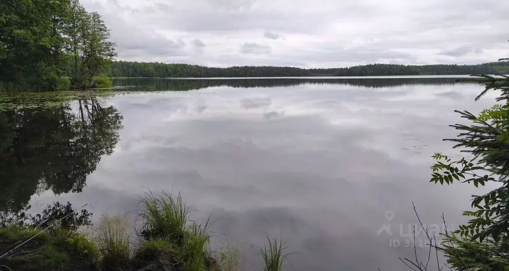 Участок в Ленинградская область, Всеволожский район, Юкковское с/пос, ... - Фото 2
