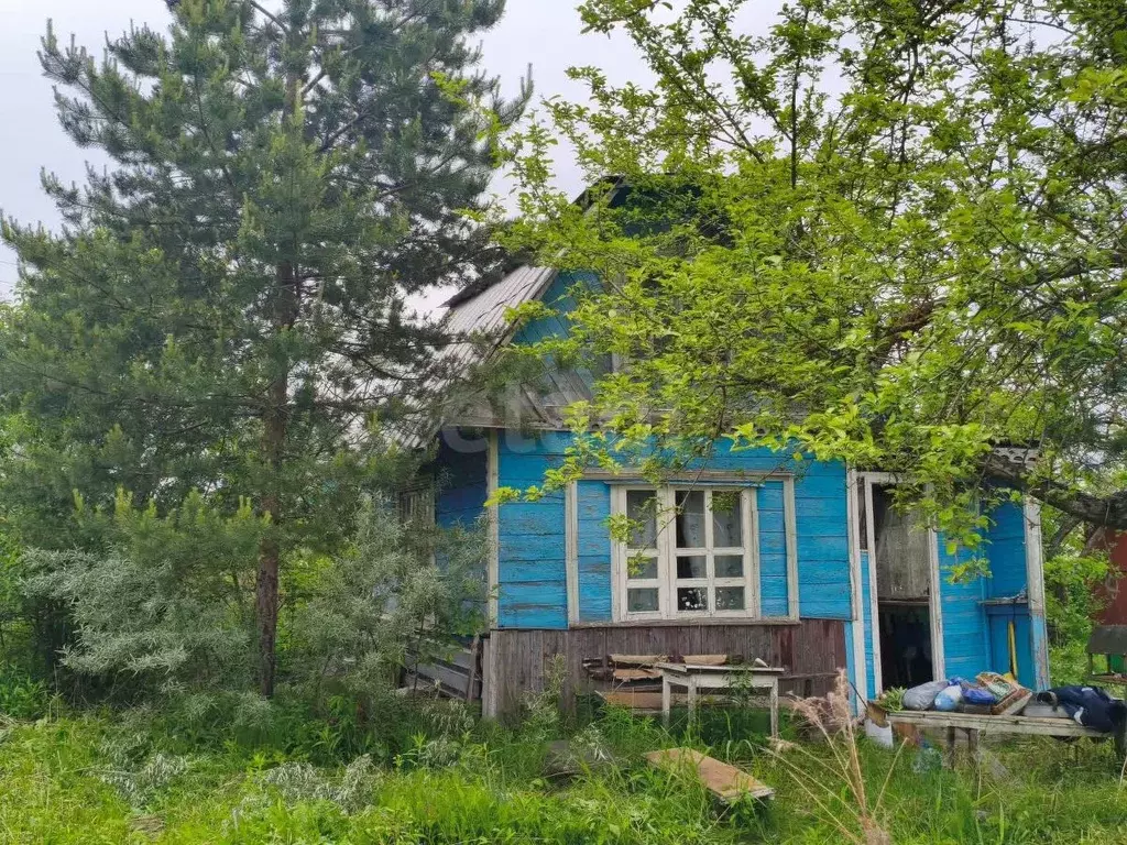 Участок в Вологодская область, Череповец № 1 ЧСПЗ СНТ, 63 (5.0 сот.) - Фото 1