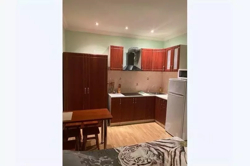 1-к кв. Крым, Евпатория ул. 13 Ноября, 53 (30.0 м) - Фото 2