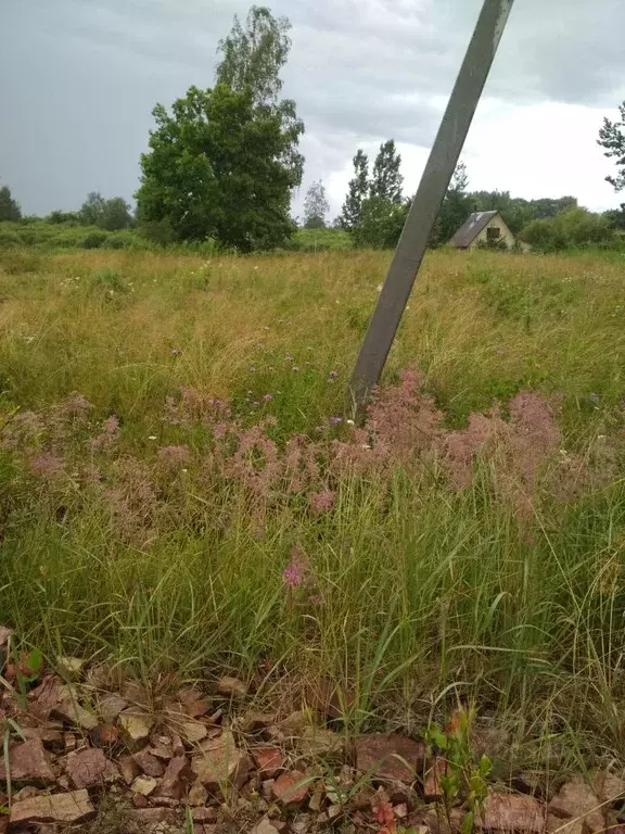 Участок в Новгородская область, Новгородский район, д. Савино  (13.0 ... - Фото 0