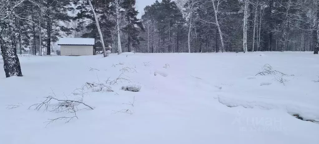 Участок в Томская область, Томский район, д. Кандинка ул. Гагарина, 37 ... - Фото 1