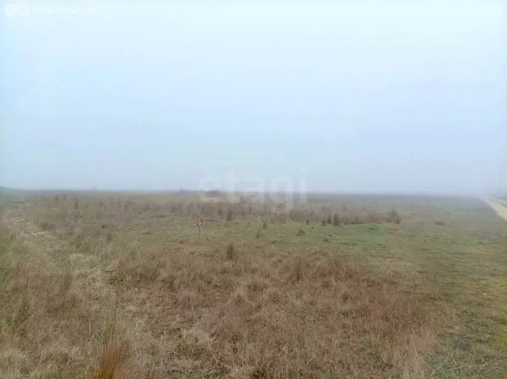 Участок в Семисотское сельское поселение, товарищество собственников ... - Фото 1