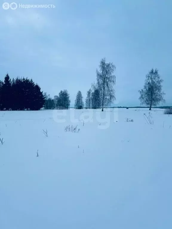 Участок в Калининградская область, Гвардейский муниципальный округ, ... - Фото 2