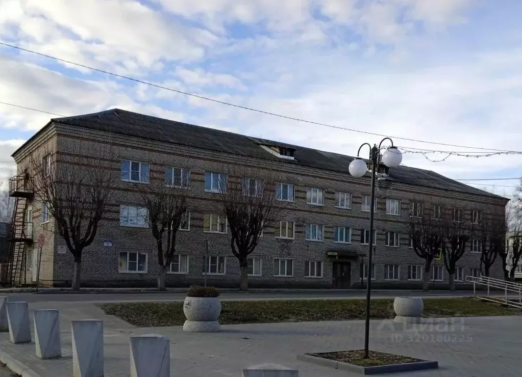 Помещение свободного назначения в Новгородская область, Окуловка ул. ... - Фото 1