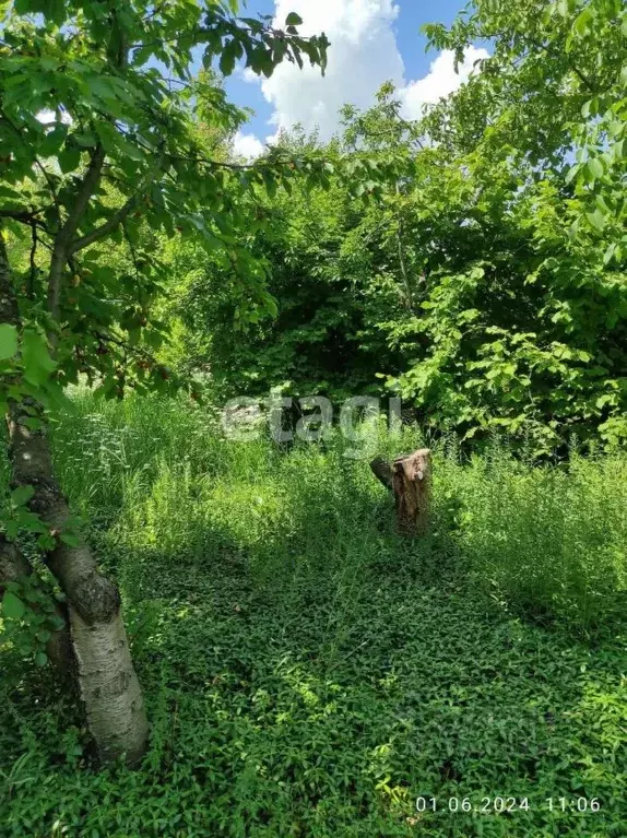 Участок в Ростовская область, Ростов-на-Дону Луч садовое товарищество, ... - Фото 1