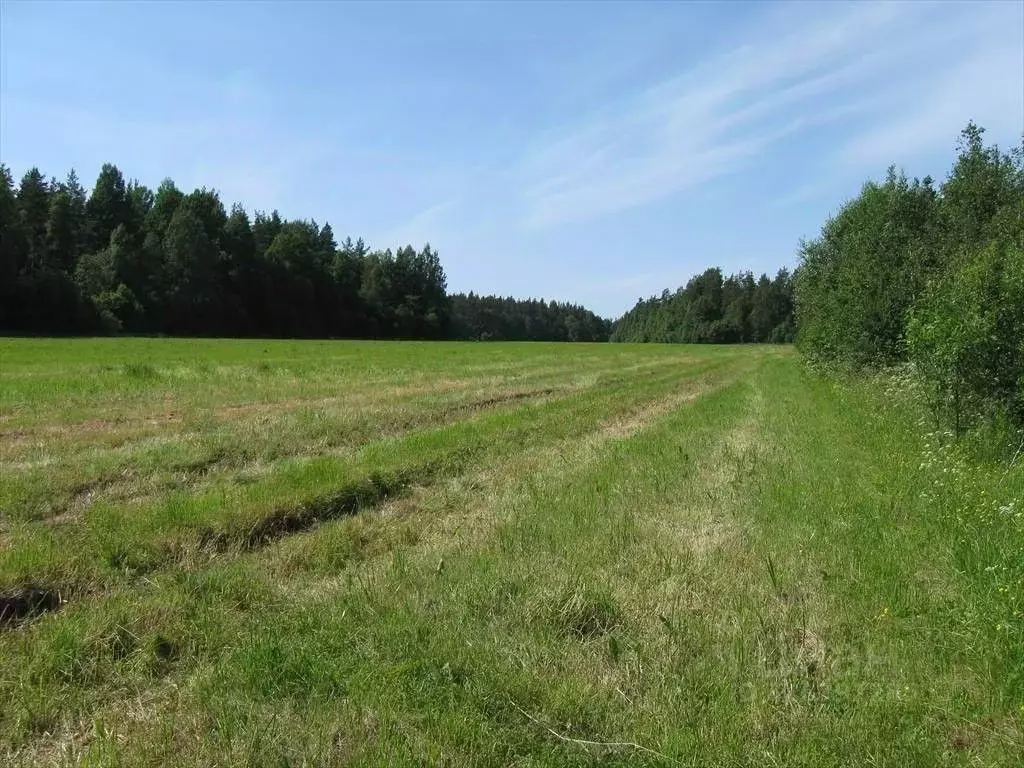 Участок в Ленинградская область, Выборгский район, пос. Красносельское ... - Фото 2