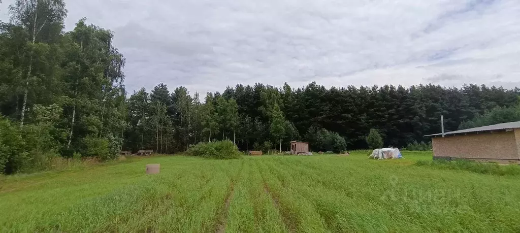 Участок в Псковская область, Псковский муниципальный округ, д. ... - Фото 1
