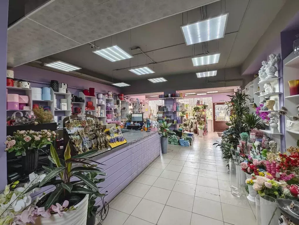 Торговая площадь в Тюменская область, Тюмень ул. Газовиков, 33 (128 м) - Фото 1