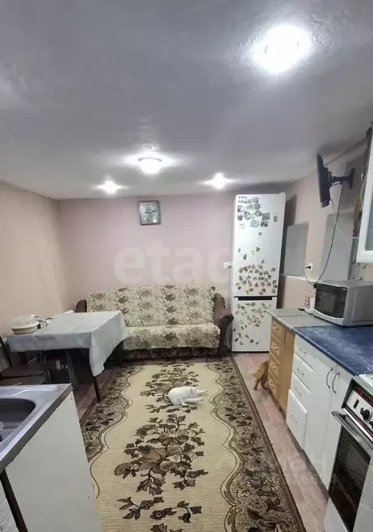 Дом в Ставропольский край, Петровский муниципальный округ, с. Донская ... - Фото 1