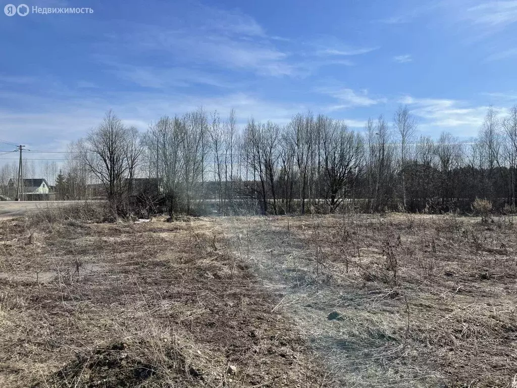 Участок в Московская область, городской округ Чехов, деревня Скурыгино ... - Фото 1