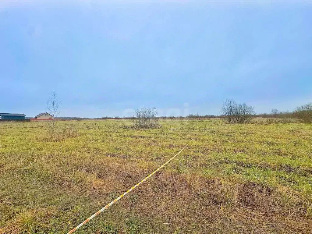 Участок в Ярославская область, Ярославский муниципальный округ, д. ... - Фото 1