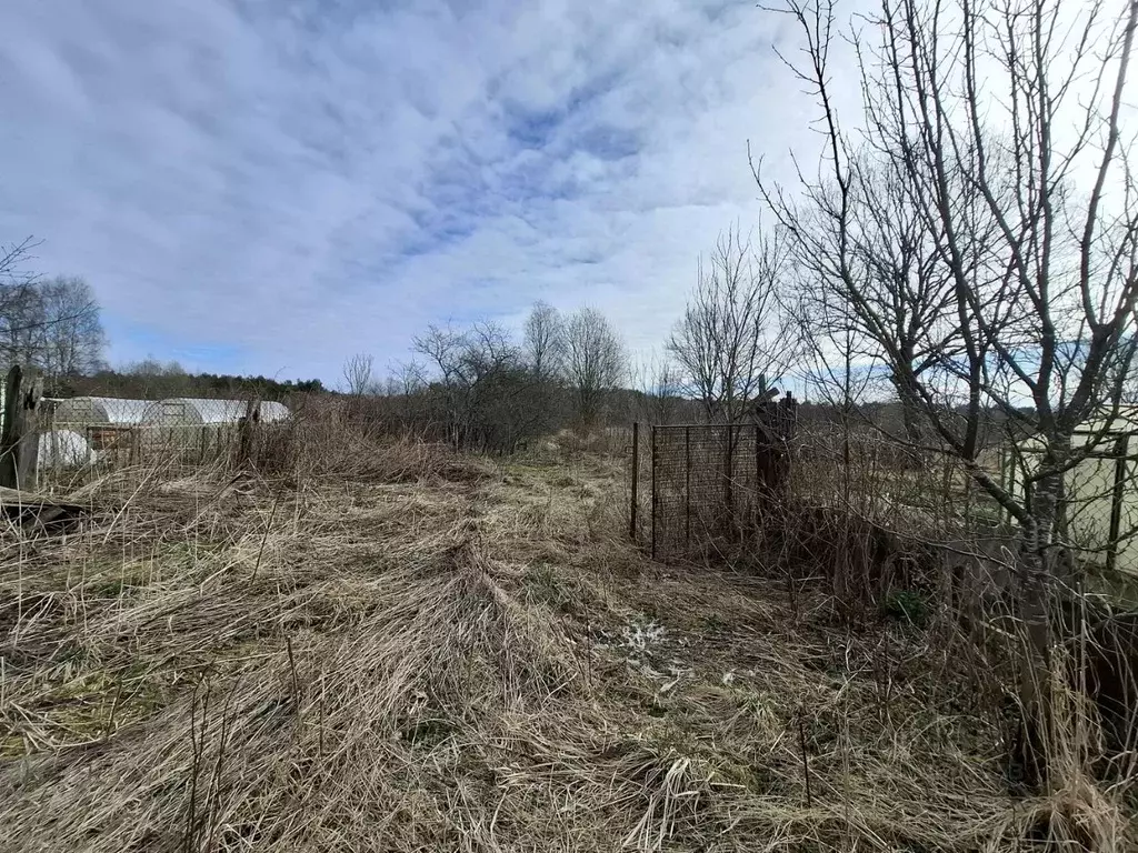 Участок в Псковская область, Псковский район, Ядровская волость, д. ... - Фото 2