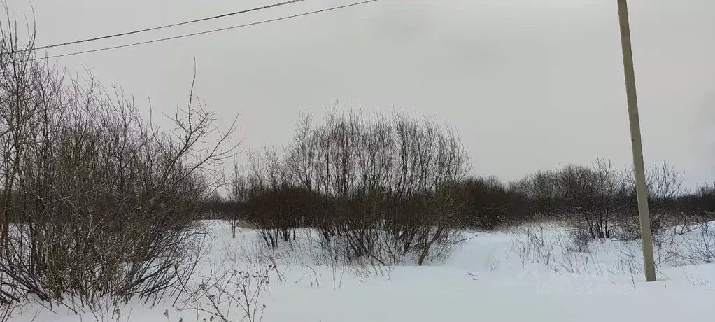 Участок в Кемеровская область, Новокузнецкий муниципальный округ, с. ... - Фото 1