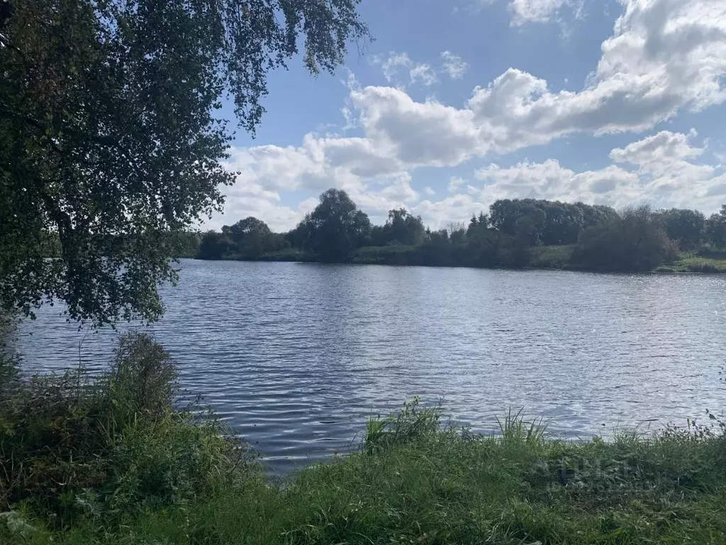 Дом в Тульская область, Алексин городской округ, д. Ладерево 2 (32 м) - Фото 1