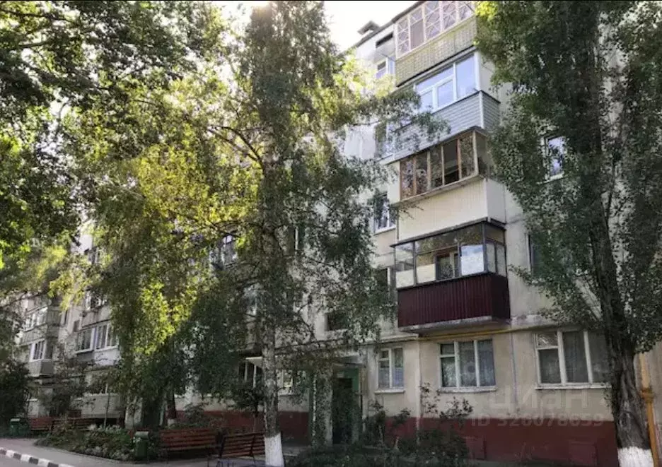 3-к кв. Белгородская область, Белгород Октябрьская ул., 84 (62.0 м) - Фото 2