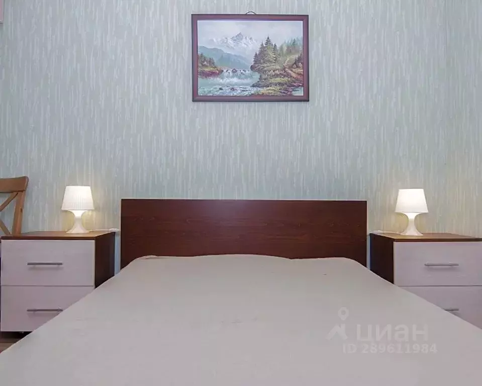 1-к кв. Санкт-Петербург просп. Энгельса, 147К2 (33.0 м) - Фото 1