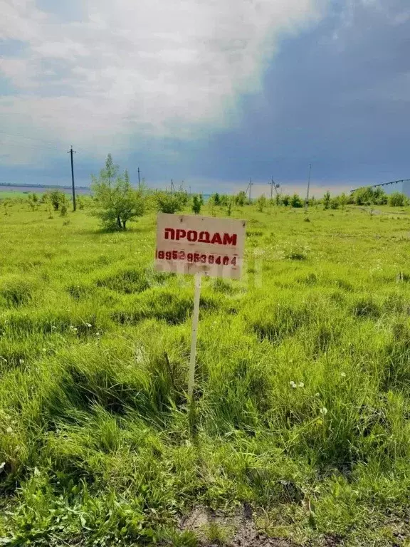 Участок в Воронежская область, Семилукский район, Медвеженское с/пос, ... - Фото 0