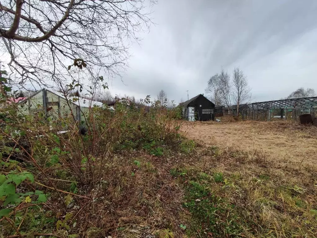 Участок в Камчатский край, Елизовский муниципальный округ, Бриз СНТ  ... - Фото 2