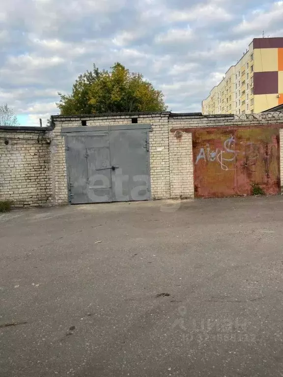 Гараж в Курганская область, Курган ул. Коли Мяготина, 177 (24 м) - Фото 1