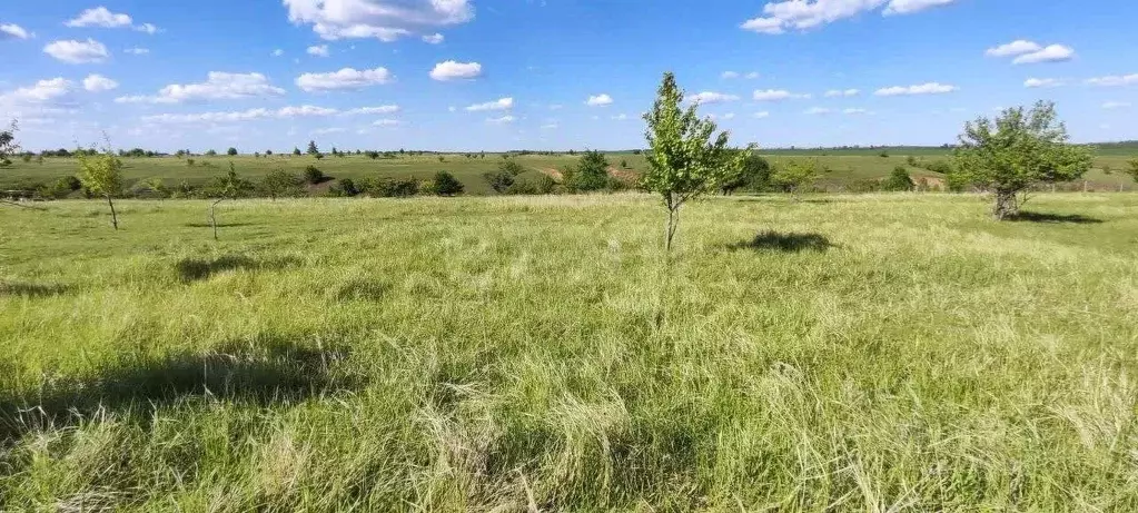 Участок в Воронежская область, Рамонский район, с. Русская Гвоздевка  ... - Фото 1