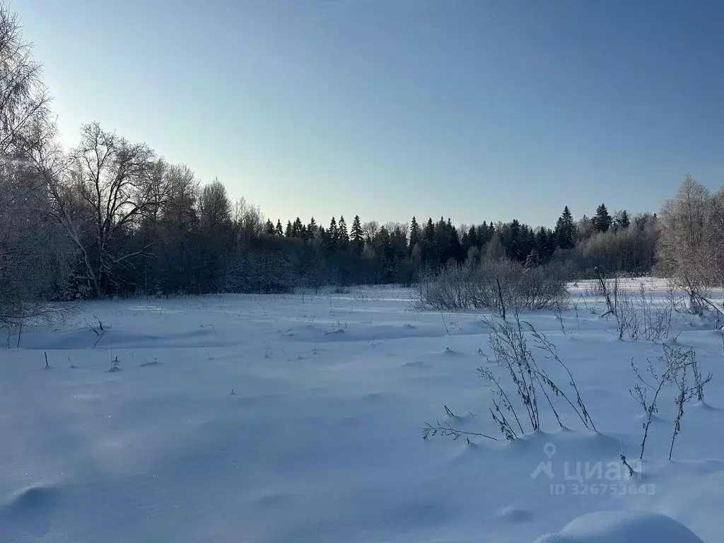 Участок в Московская область, Рузский муниципальный округ, д. Филатово ... - Фото 1