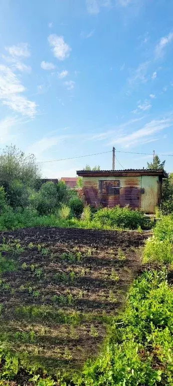 Участок 6,5 сот. (СНТ, ДНП) - Фото 0
