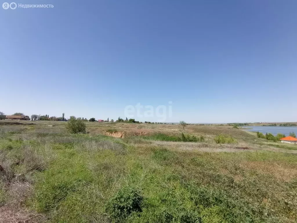 Участок в Ровенский район, село Тарлыковка (300 м) - Фото 0