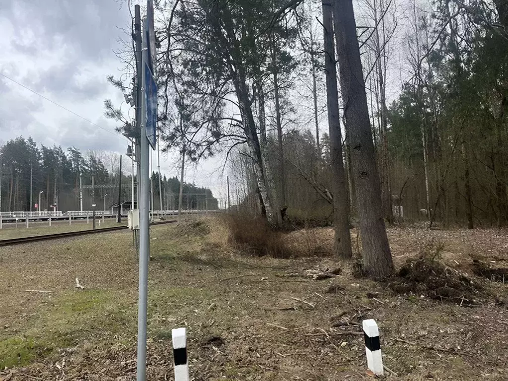 Участок в Санкт-Петербург пос. Ушково, Вокзальная ул., 10 (8.0 сот.) - Фото 0