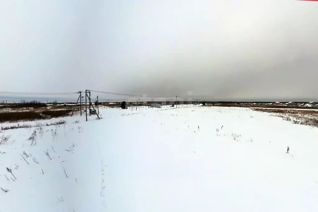 Участок в Тюменская область, Тюменский муниципальный округ, Садовые ... - Фото 0