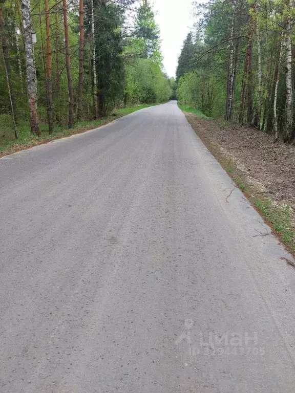 Участок в Нижегородская область, Богородский муниципальный округ, ... - Фото 1