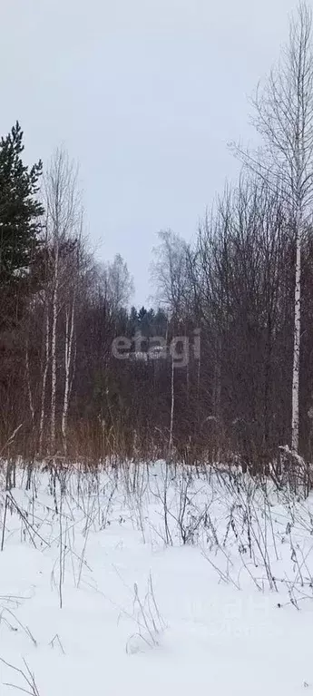 Участок в Томская область, Томск пос. Родионово, ул. Малахитовая ... - Фото 1