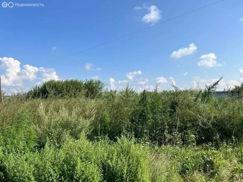 Участок в село Берёзовка, Береговая улица, 3 (15 м) - Фото 1