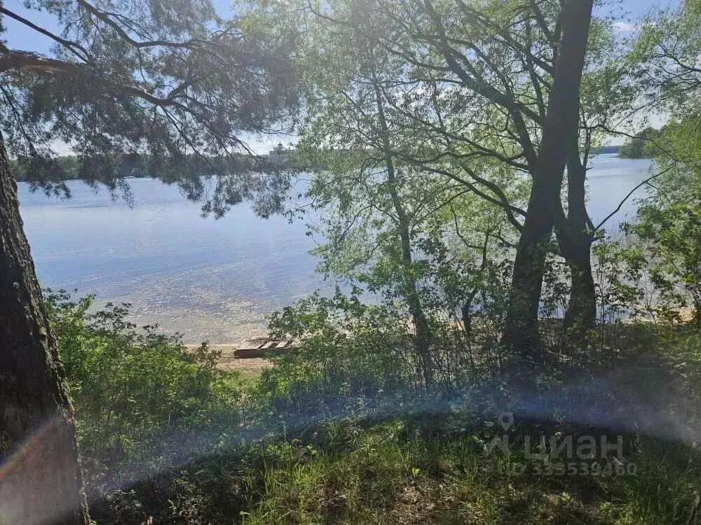 Участок в Московская область, Солнечногорск городской округ, д. ... - Фото 2