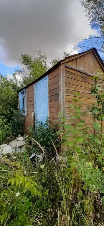 Купить Дачу В Воронежской Области П Подпольный