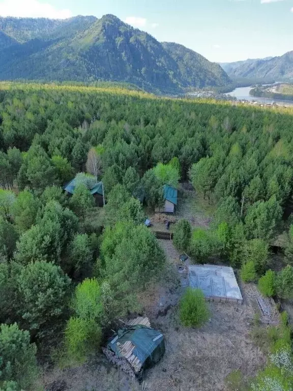 Участок в Алтай, Чемальский район, с. Анос Центральная ул., 41 (12.0 ... - Фото 1