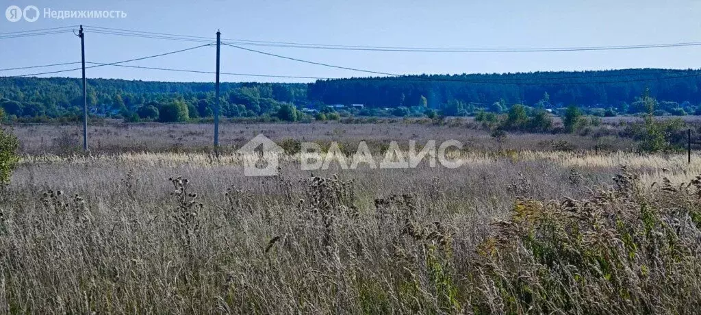 Участок в Суздальский район, муниципальное образование Павловское, ... - Фото 0