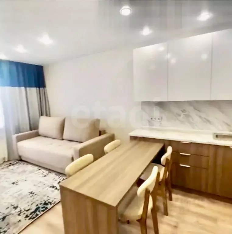 Студия Амурская область, Благовещенский район, с. Чигири Восточная ... - Фото 2