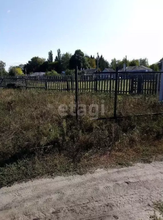 Участок в Воронежская область, Верхнехавский район, с. Малая ... - Фото 1