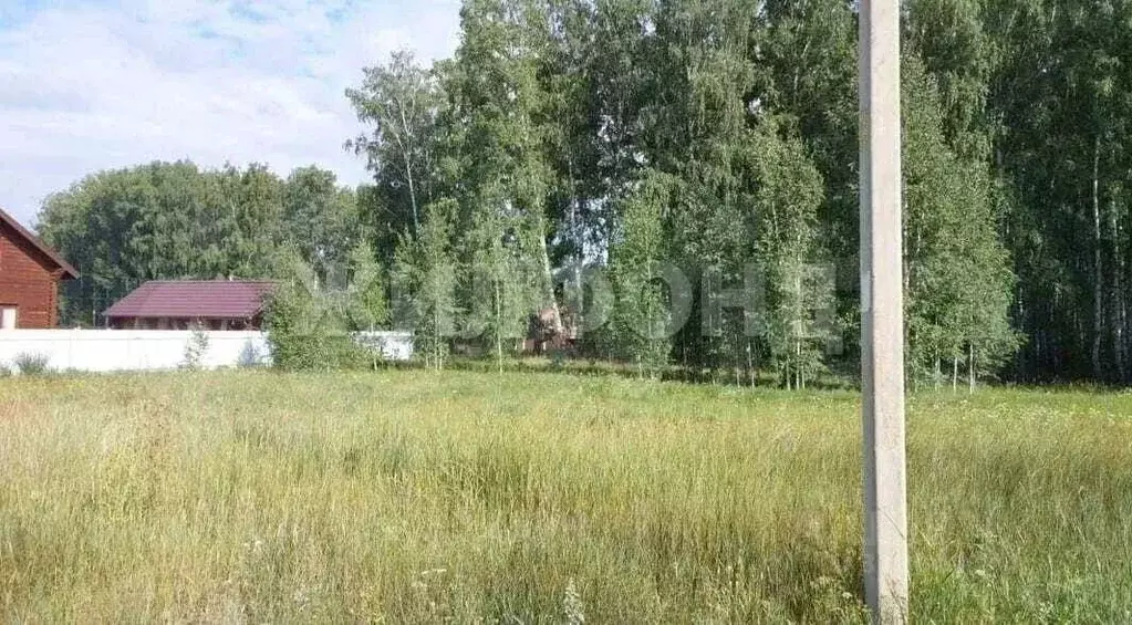 Участок в Новосибирская область, Новосибирский район, Кудряшовский ... - Фото 0