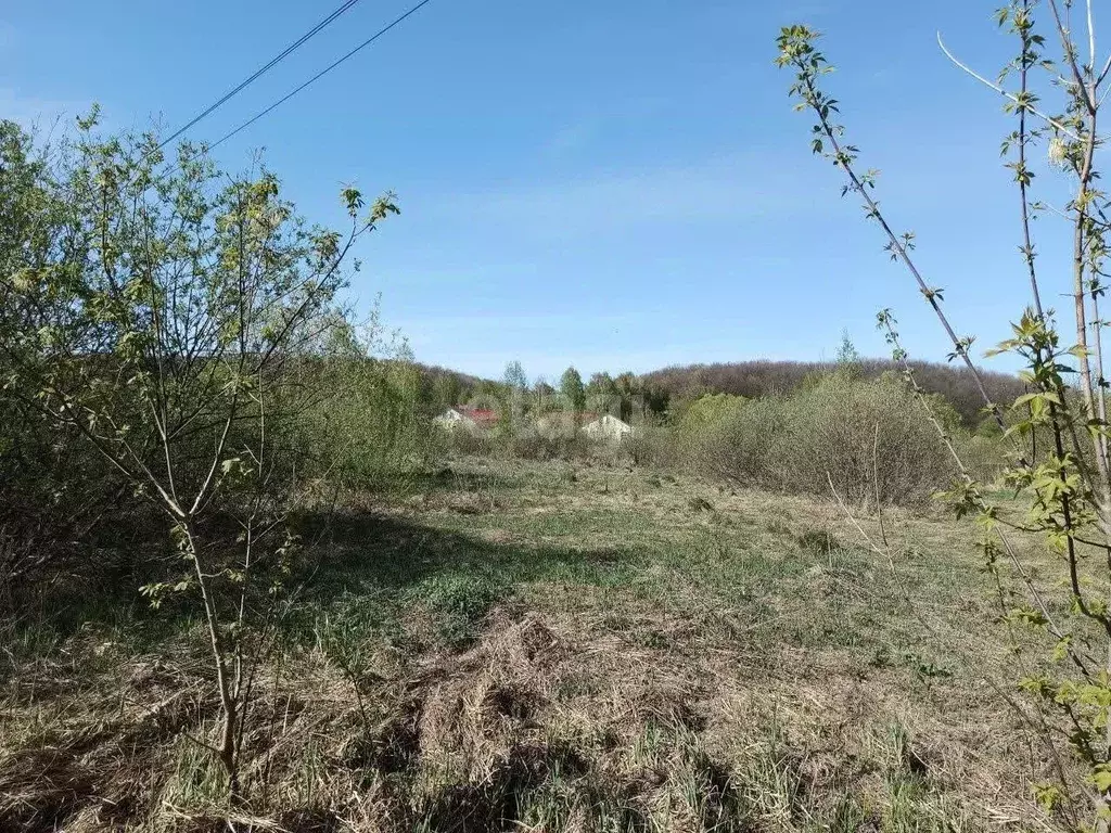 Участок в Мордовия, Рузаевский район, пос. Левженский Центральная ул. ... - Фото 1