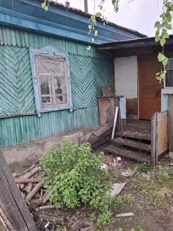 Дом в Алтайский край, Барнаул городской округ, пос. Ягодное пер. ... - Фото 0