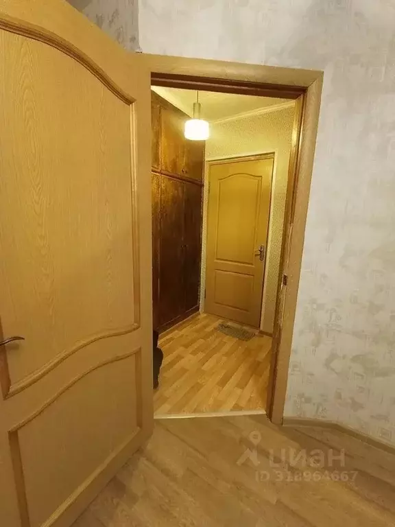 1-к кв. Нижегородская область, Дзержинск ул. Чапаева, 74 (29.0 м) - Фото 1