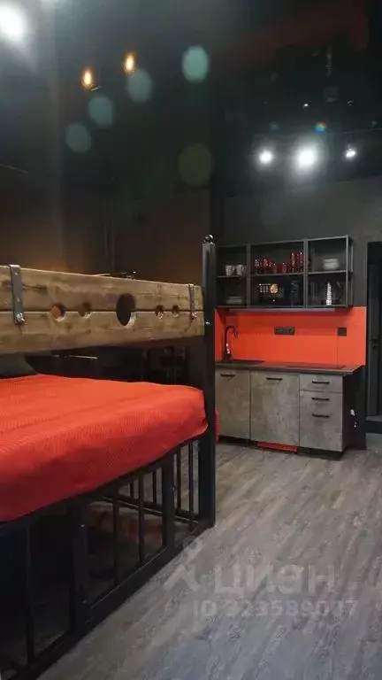 Студия Санкт-Петербург просп. Авиаконструкторов, 63 (25.0 м) - Фото 2